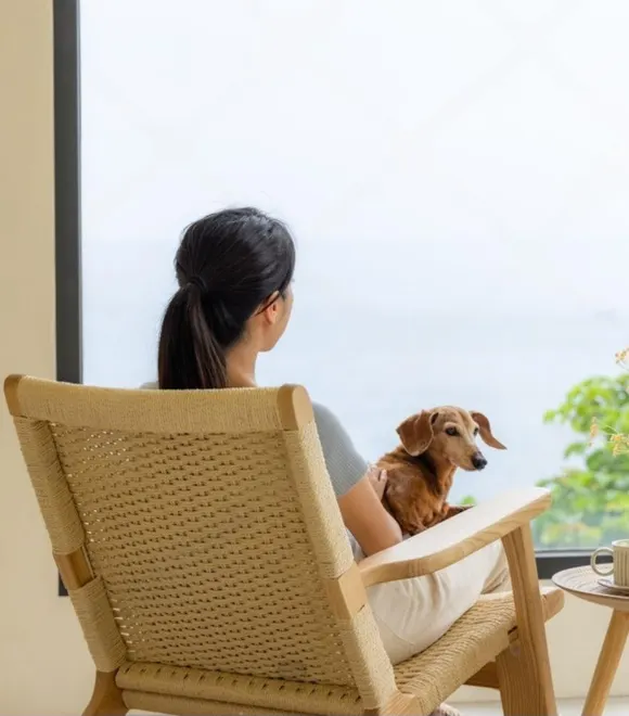 Single Window Solution